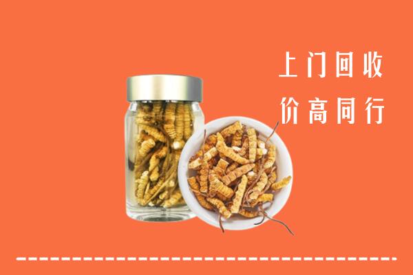 收购行情：温州市鹿城区回收冬虫夏草